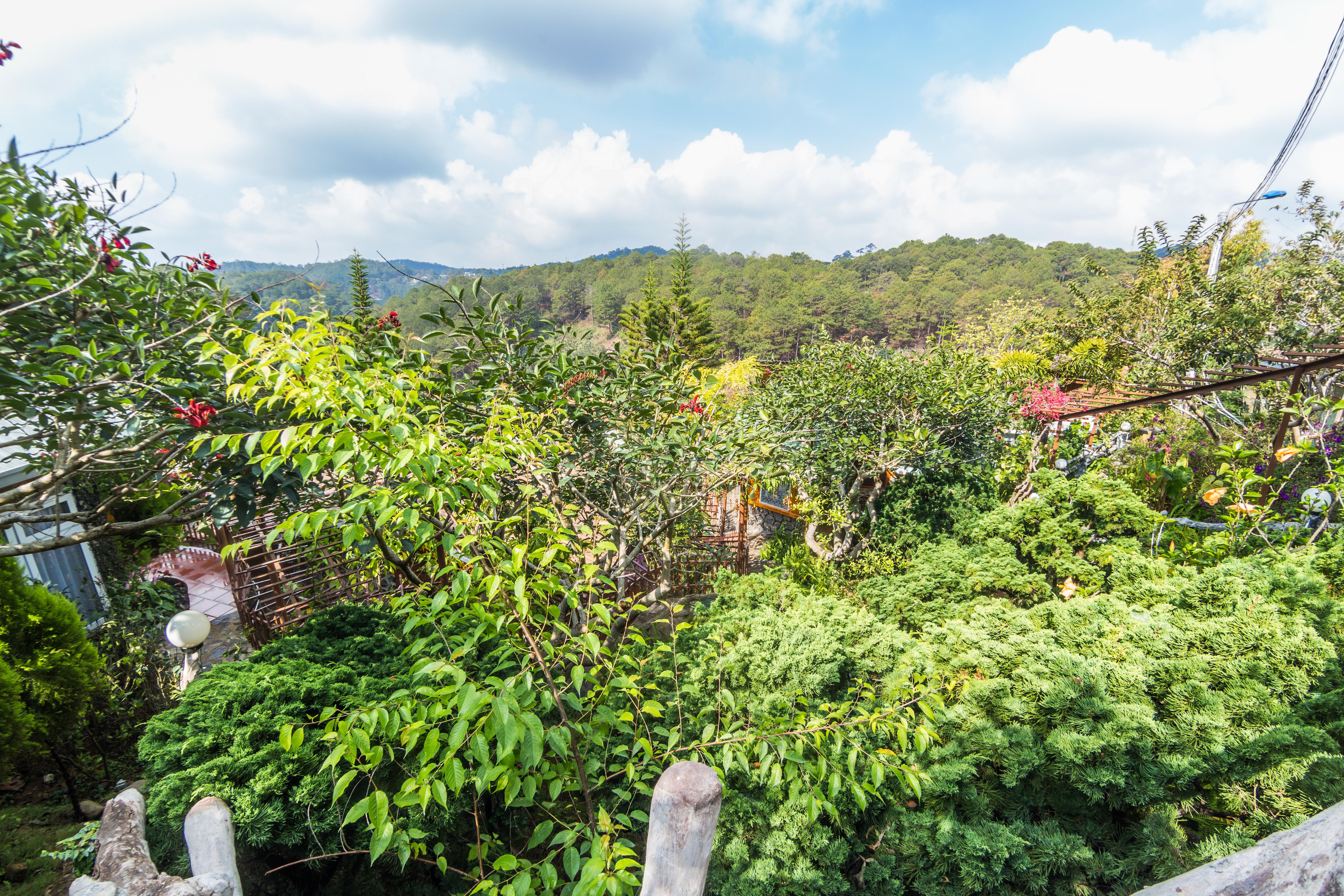 Zen Valley Dalat Eksteriør bilde